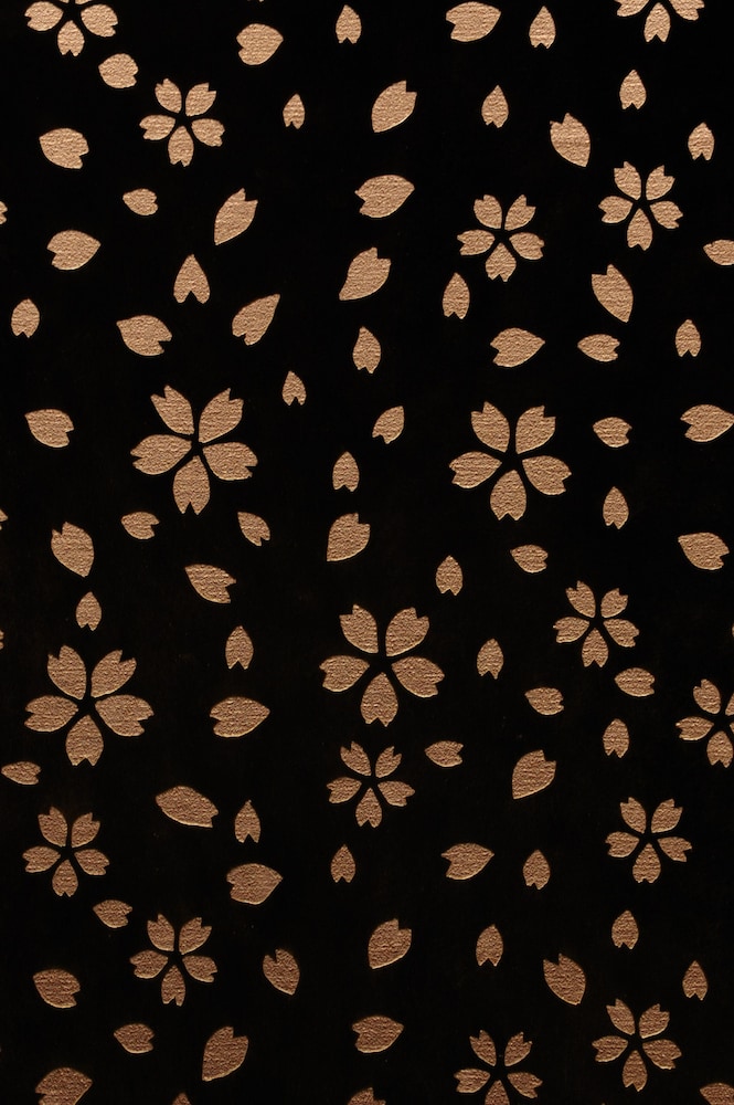 aroma kuravi adults only