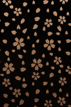 aroma kuravi adults only