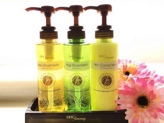 hotel livemax kasai ekimae