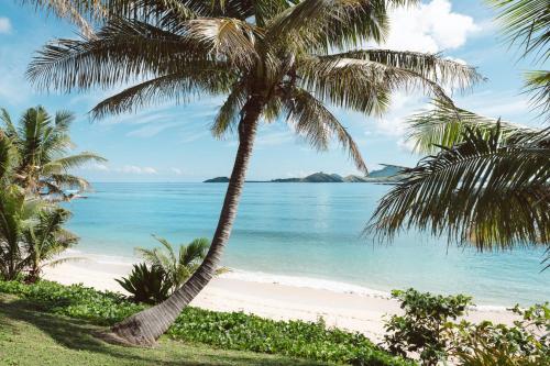 tokoriki island resort adults only