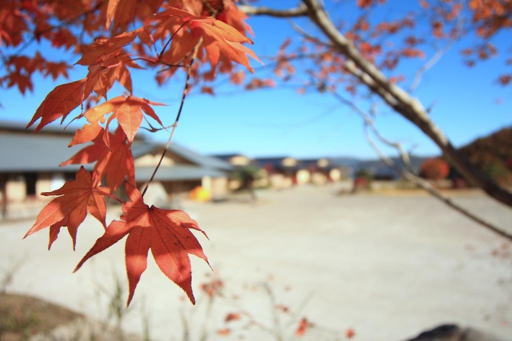 Bessou Kakei,Morioka>>Iwate,4 star