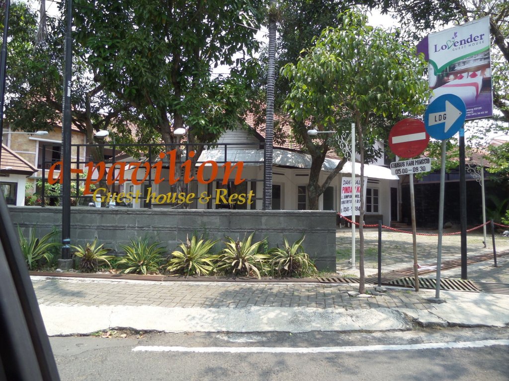 dpavilion guest house and resto