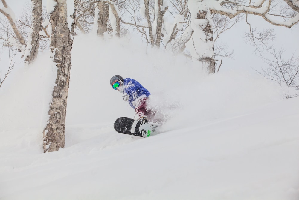 niseko