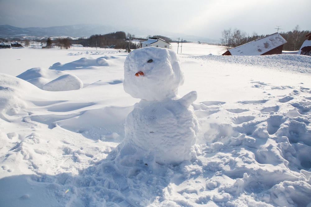 niseko