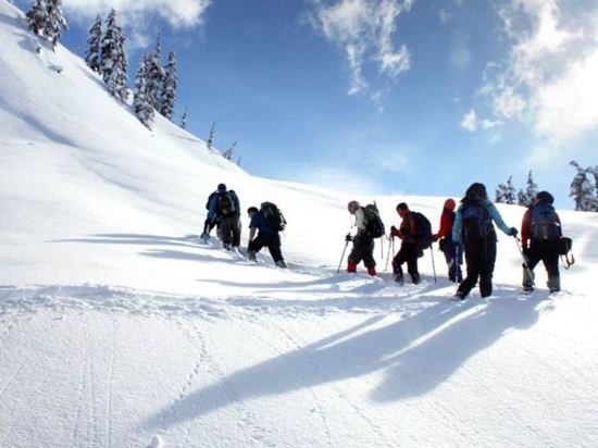 the vale niseko