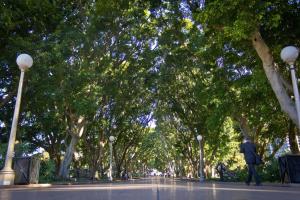 the sebel sydney martin place