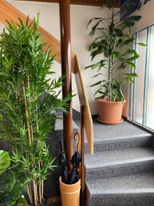 boutique hotel and restaurant baren ringgenberg