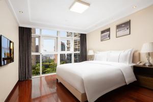 hisoar hotel shenzhen