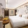 hisoar hotel shenzhen