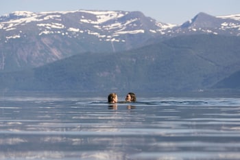 Lavik Fjord Hotell,Hyllestad>>Hoyanger,4 star