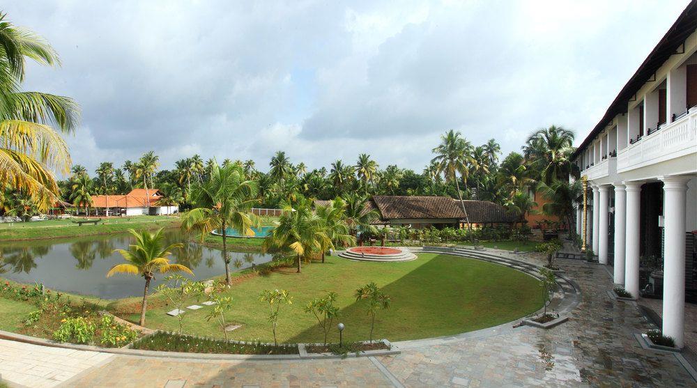 vayalar