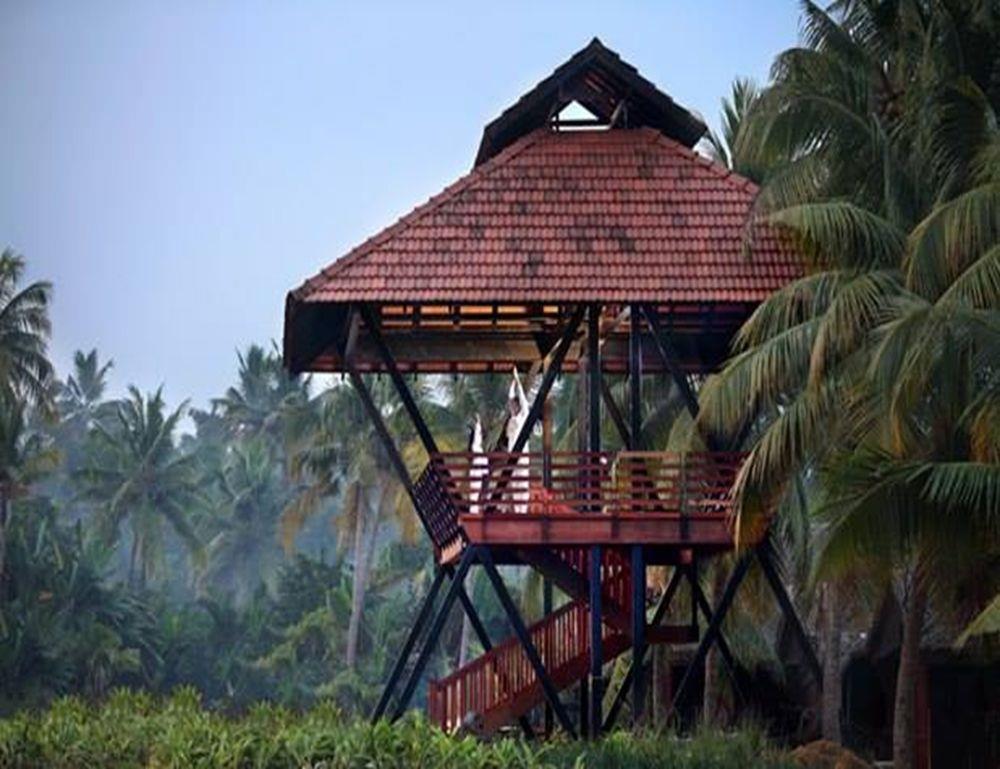 vayalar