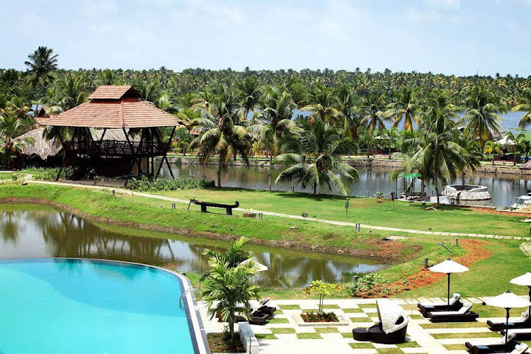 vayalar