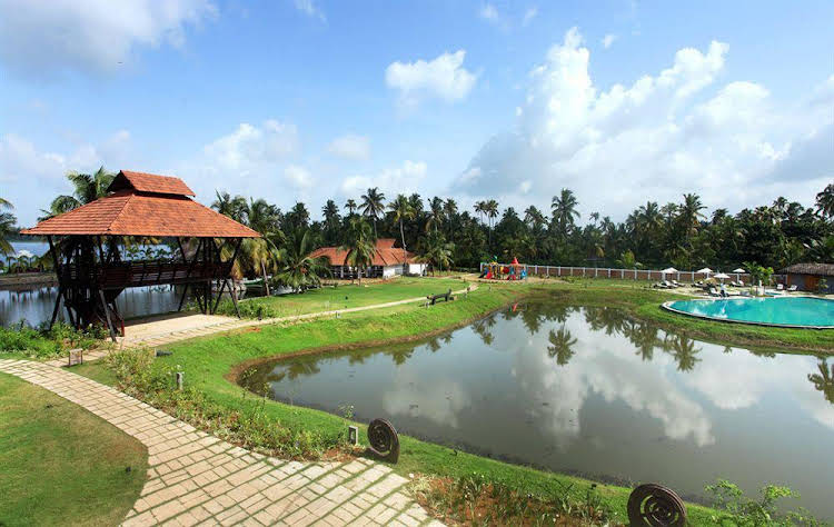 vayalar