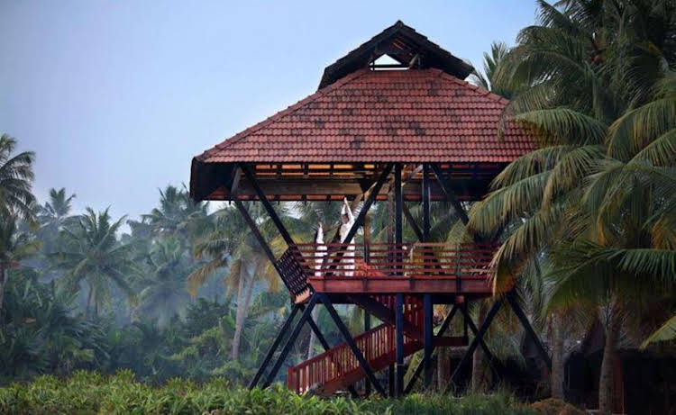 vayalar