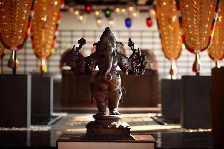 vayalar