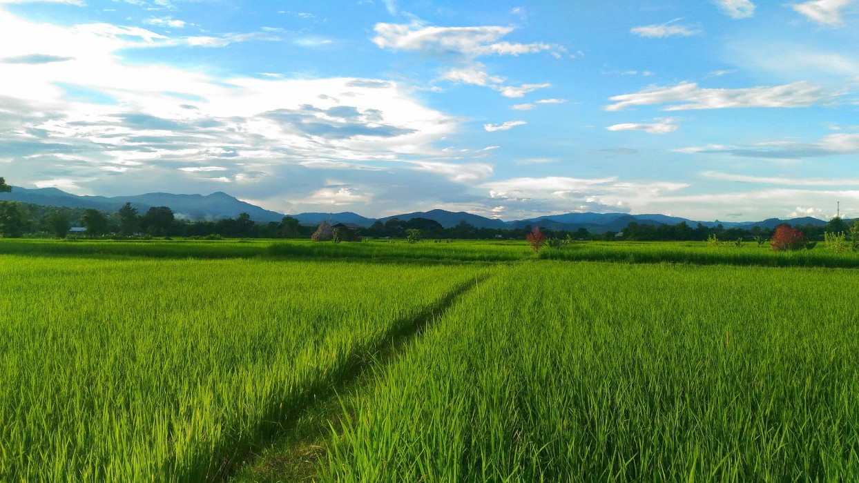 pho rak nah pai guesthouse