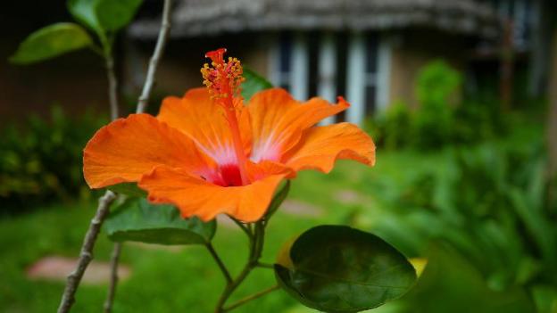 pho rak nah pai guesthouse