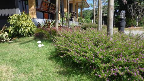 chiang rai khuakrae resort