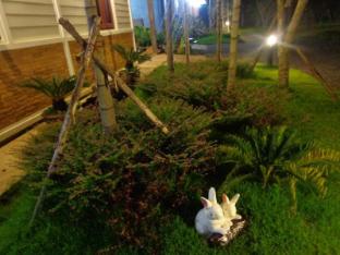 chiang rai khuakrae resort