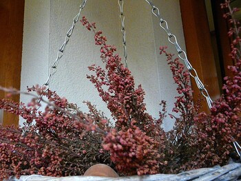 quintanar de la sierra