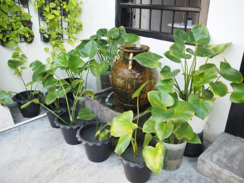 chino town gallery alley