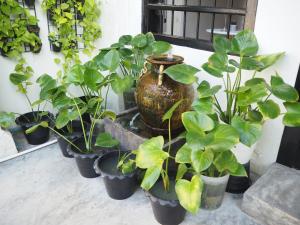 chino town gallery alley