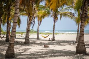 playa bonita hotel ecocabanas tayrona