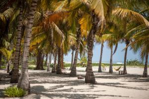 playa bonita hotel ecocabanas tayrona
