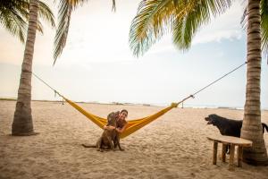 playa bonita hotel ecocabanas tayrona