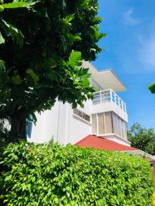 Summer House Inn San Andres,San Andres Y Providencia>>San Andres,3 star