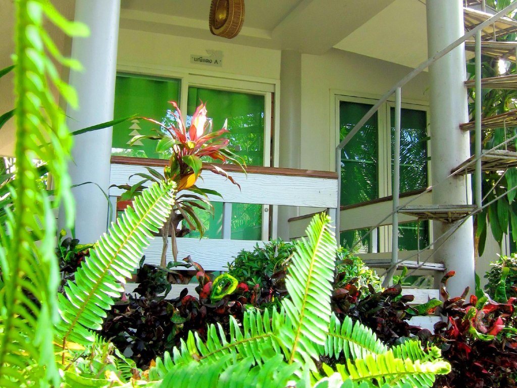 lumphachi lakehill resort