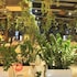 thousand nights hotel amman