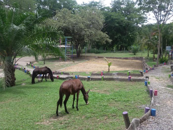 el tesoro hotel y centro de convenciones