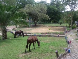 el tesoro hotel y centro de convenciones
