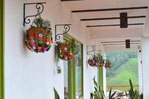 viajero salento hostel