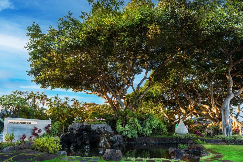 wailea beach resort marriott maui