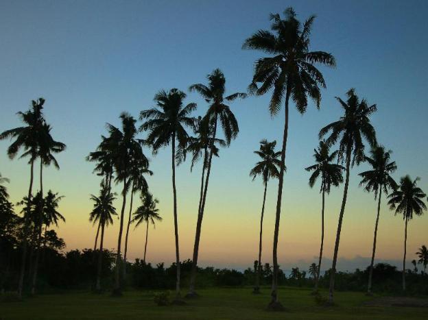 ifieleele plantation