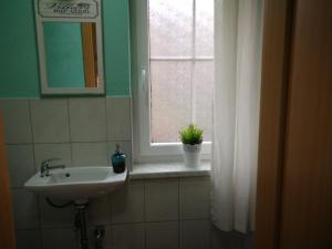 schwarzenberg erzgeb