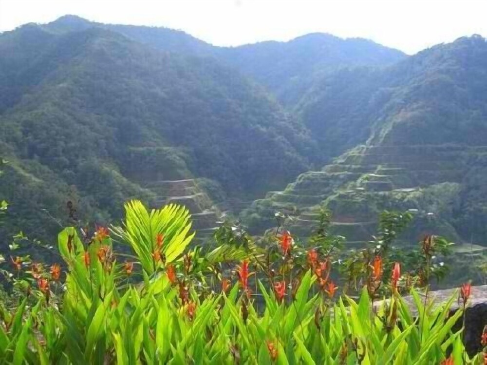 banaue