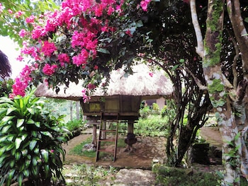 Native Village Inn,Banaue>>Baguio,2.5 star