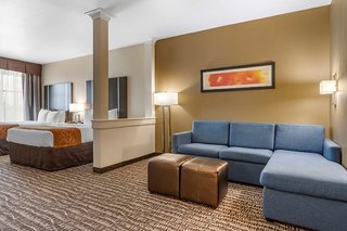 comfort suites near sam houston race park