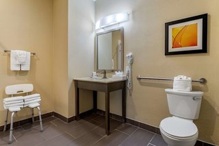 comfort suites near sam houston race park