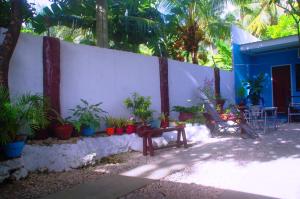 Pedz Cing Mango Lodge,Boljoon>>Alcoy,3 star