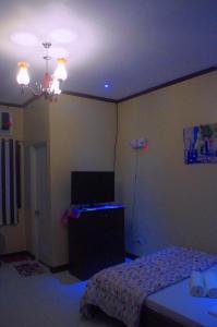 Pedz Cing Mango Lodge,Boljoon>>Alcoy,3 star