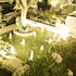 royal jardin whistling pines resort