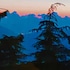 royal jardin whistling pines resort