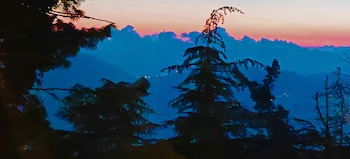 royal jardin whistling pines resort