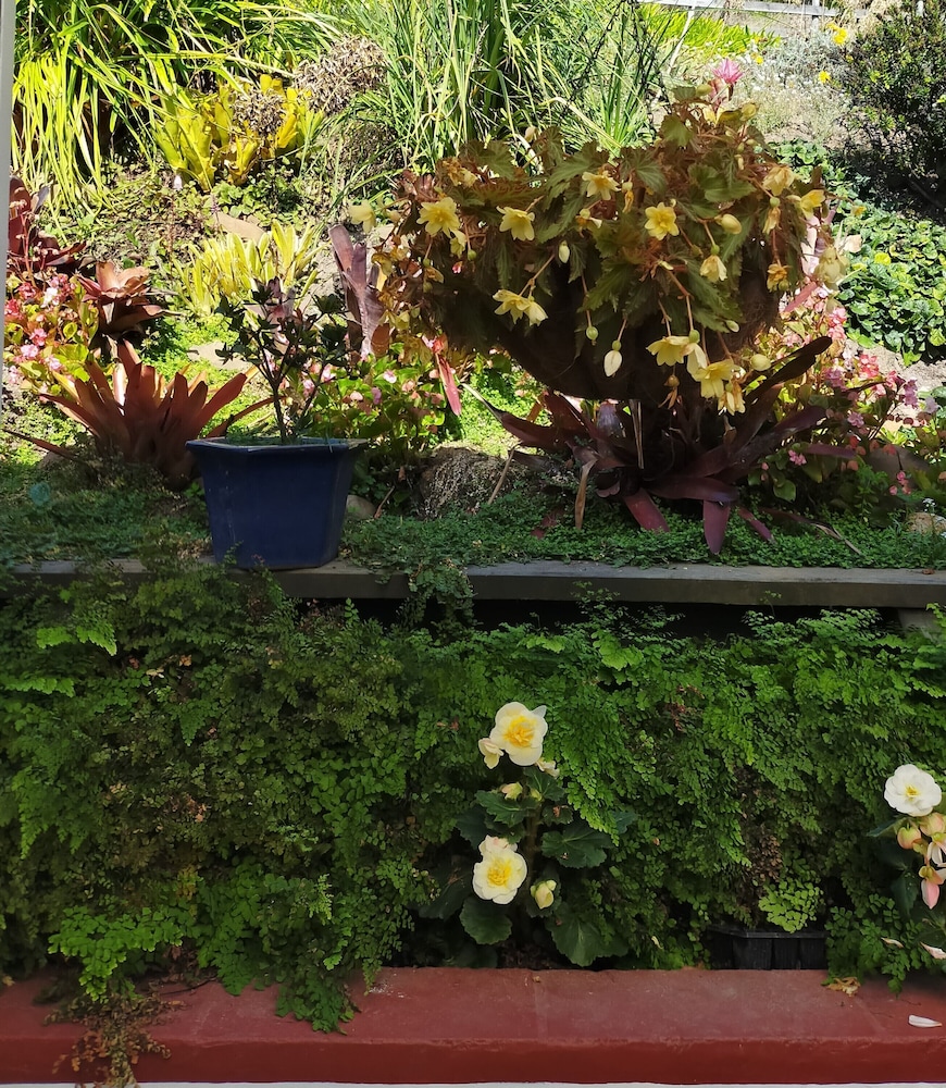 la casa te puru lodge