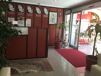 bayindir palme